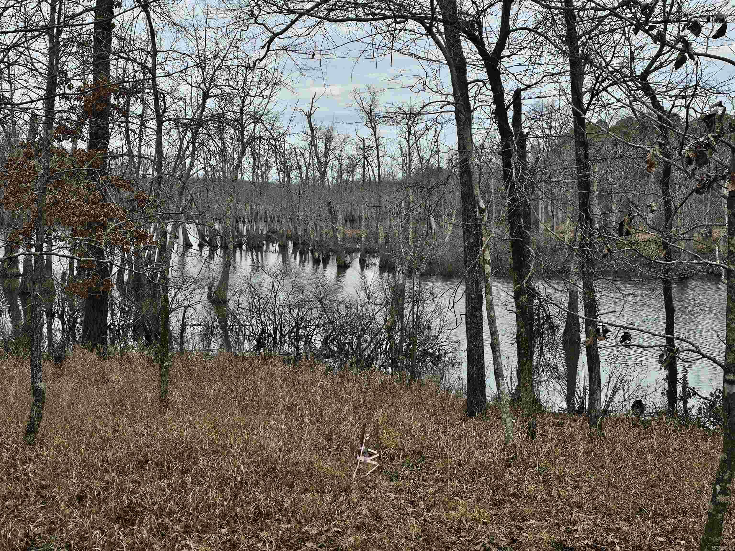 Lot 3 Devoe Bend Drive Property Photo 19