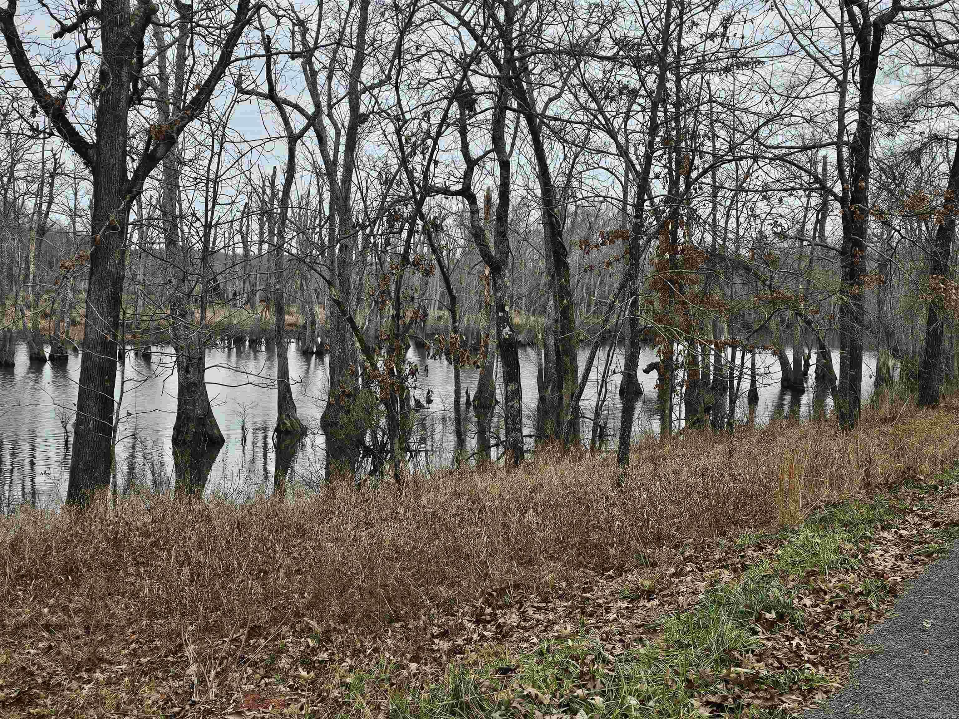 Lot 3 Devoe Bend Drive Property Photo 20