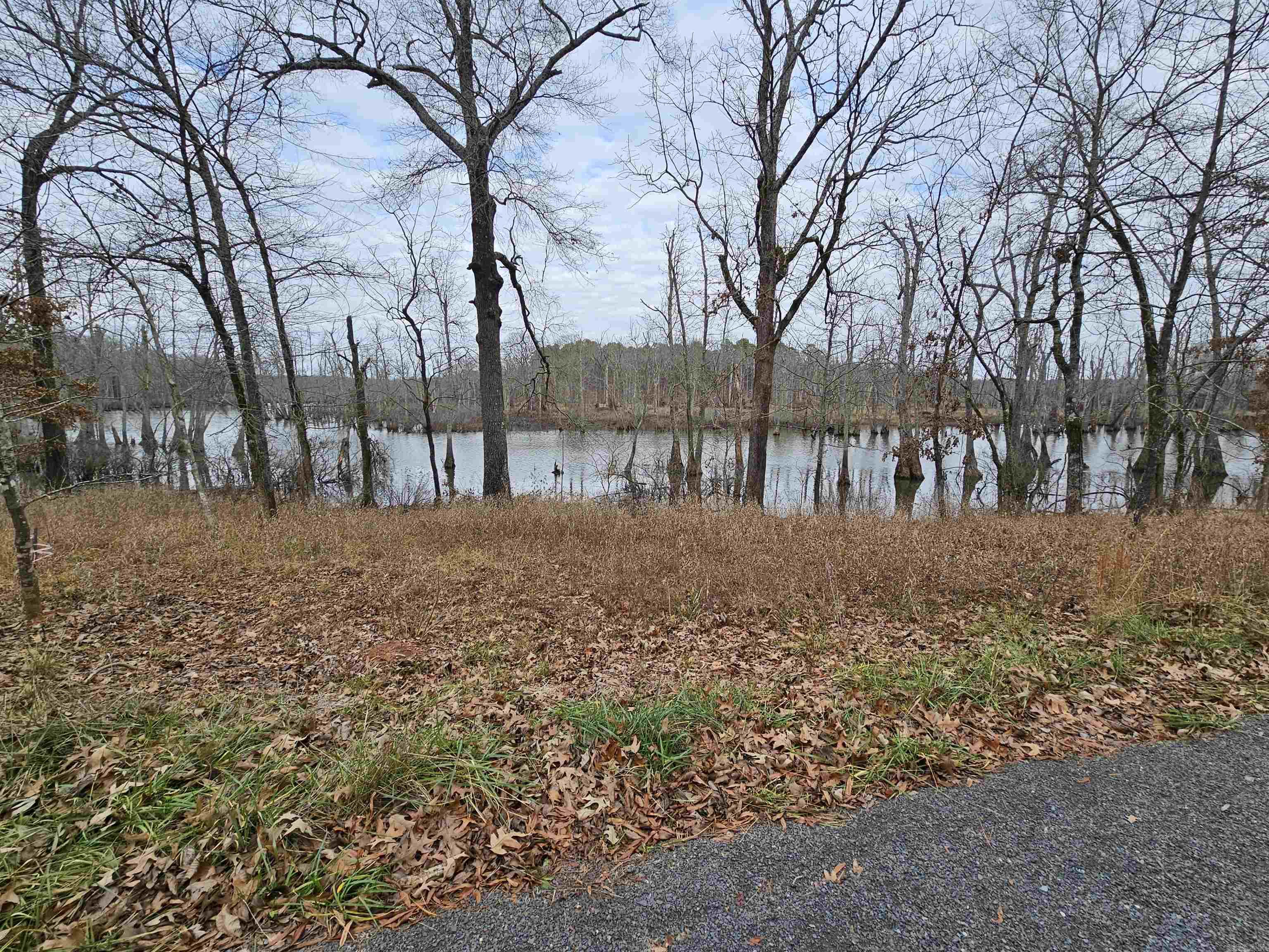 Lot 3 Devoe Bend Drive Property Photo 22