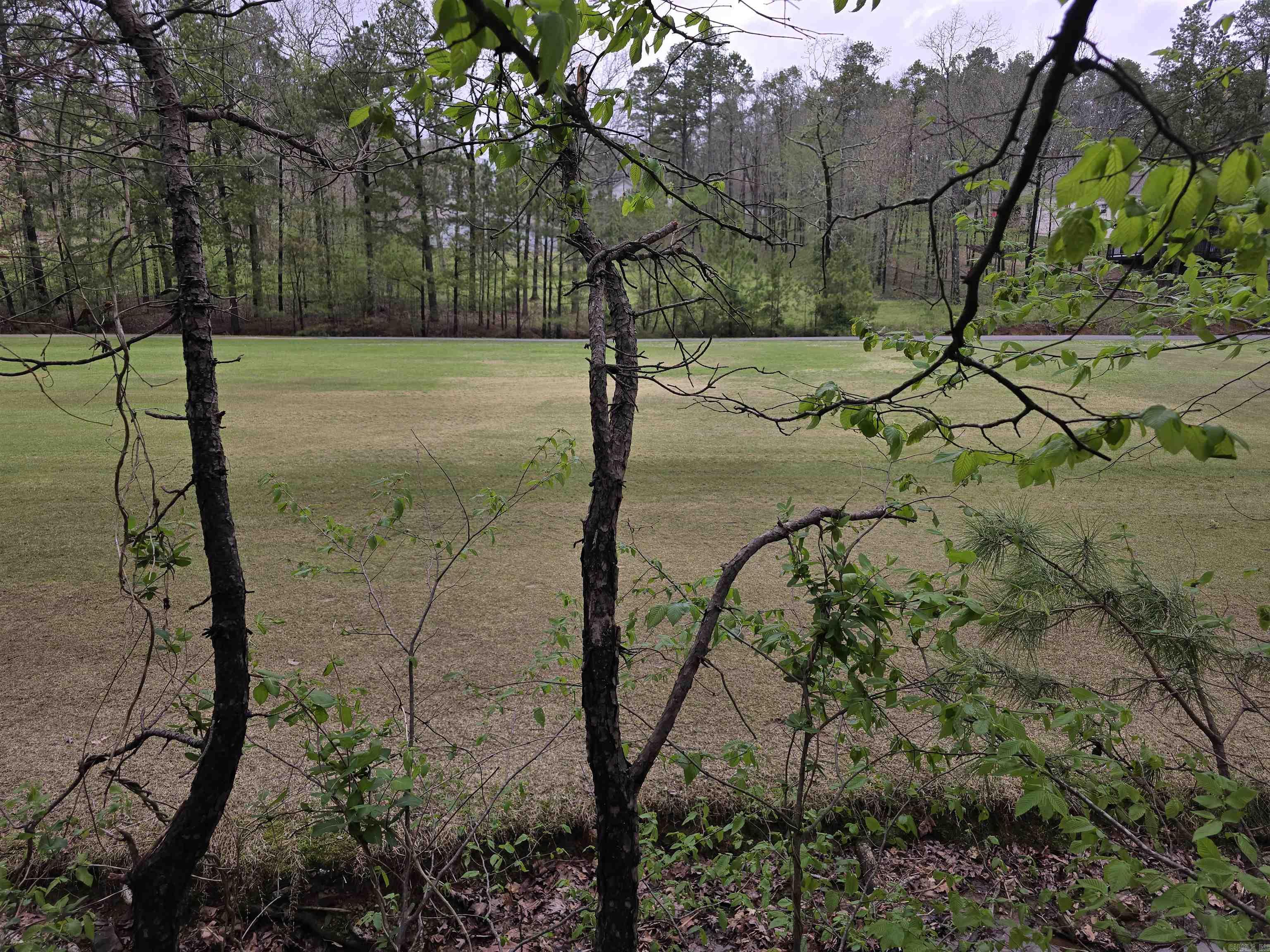 Lot 1663 Pebble Beach Drive Property Photo 2