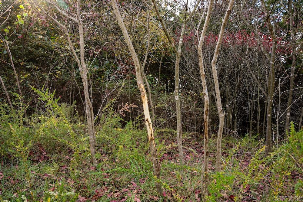Cr 663 Property Photo 6