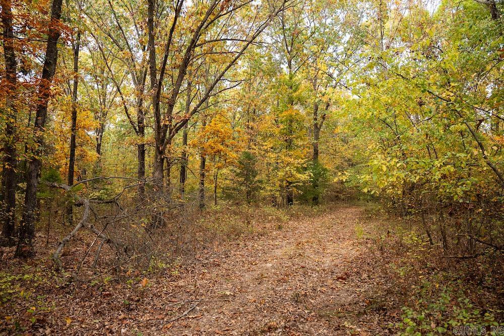 Cr 663 Property Photo 7