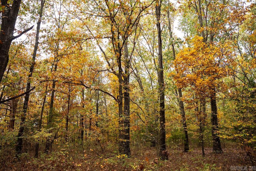 Cr 663 Property Photo 8