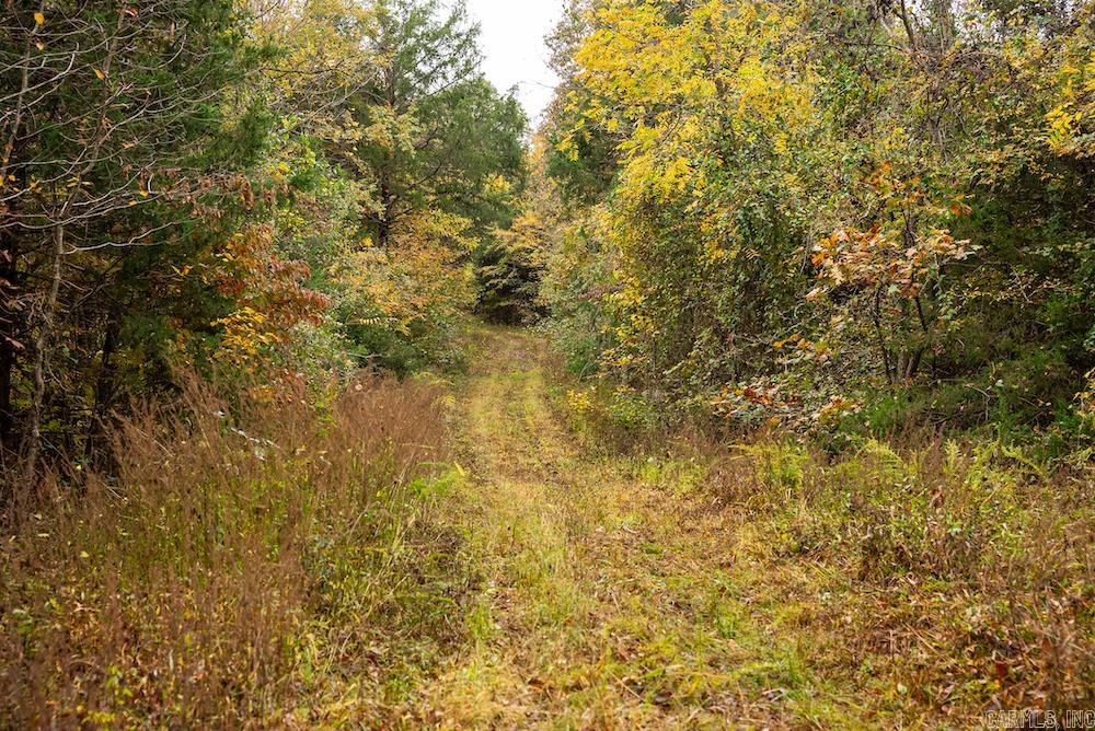 Cr 663 Property Photo 9