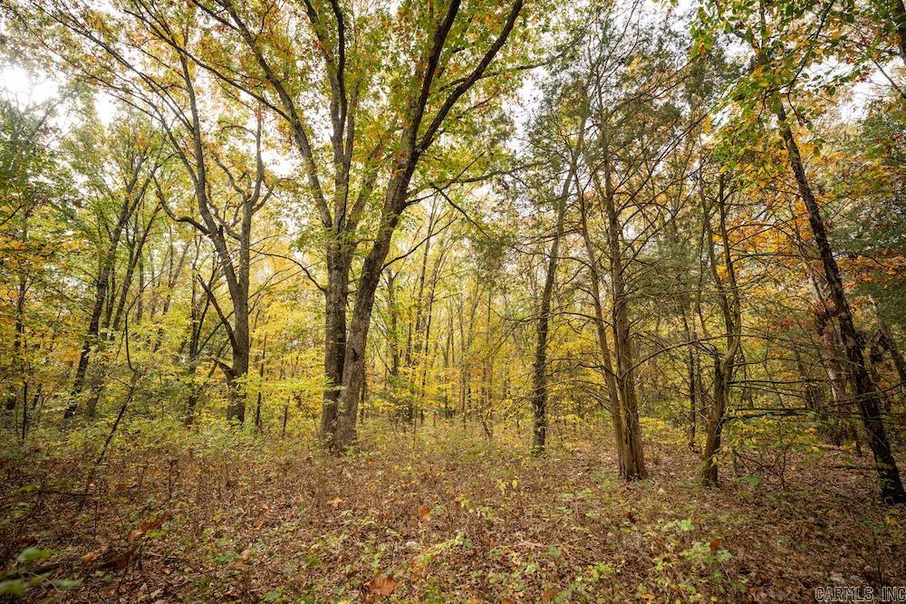 Cr 663 Property Photo 11