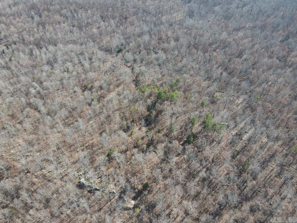 Tract A Rocky Road Property Photo 2