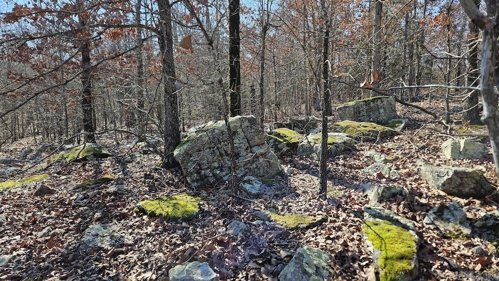 Tract A Rocky Road Property Photo 3