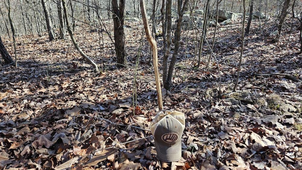 Tract A Rocky Road Property Photo 5