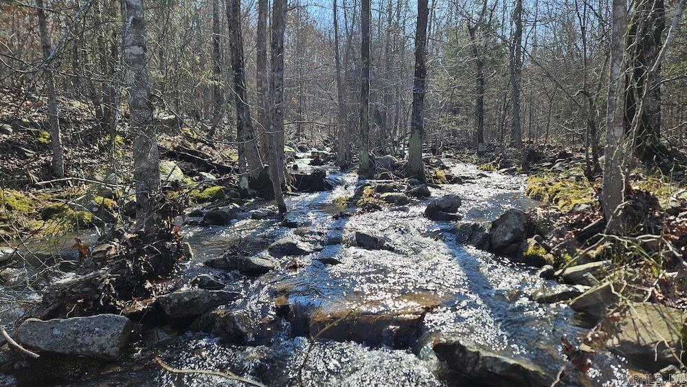 Tract A Rocky Road Property Photo 9