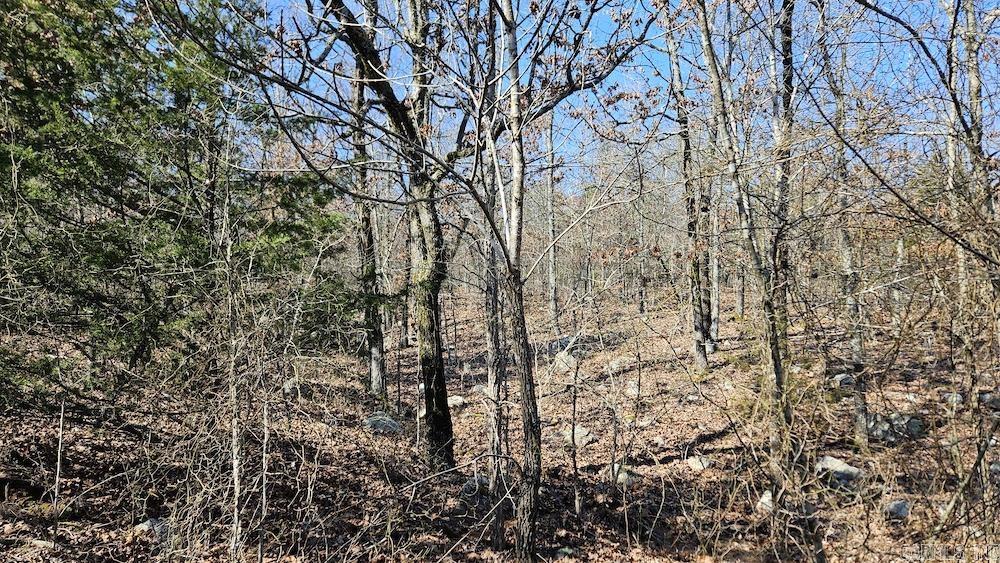 Tract A Rocky Road Property Photo 11