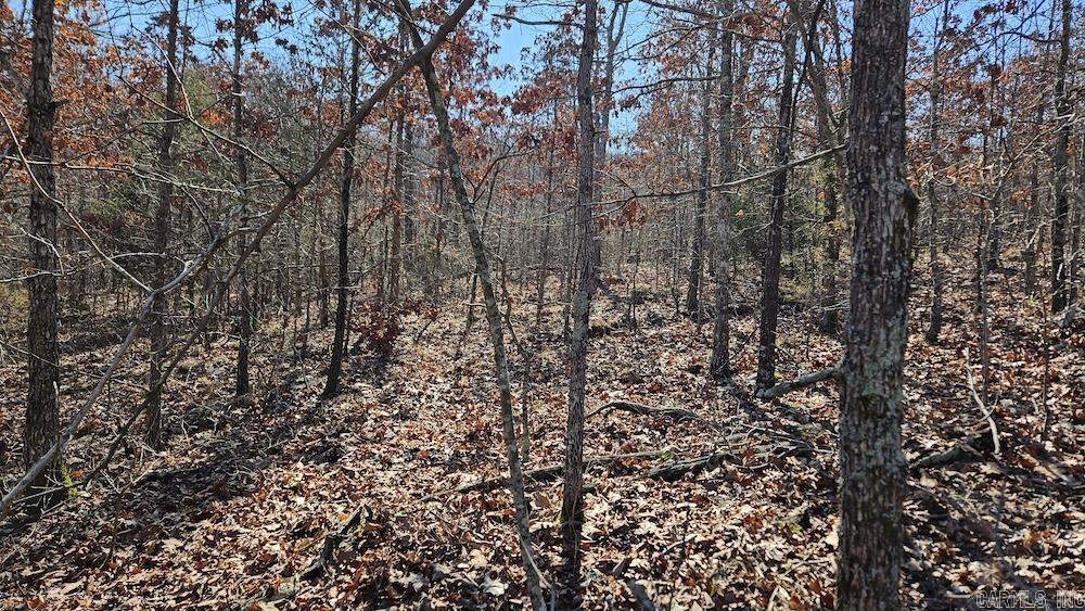 Tract A Rocky Road Property Photo 12