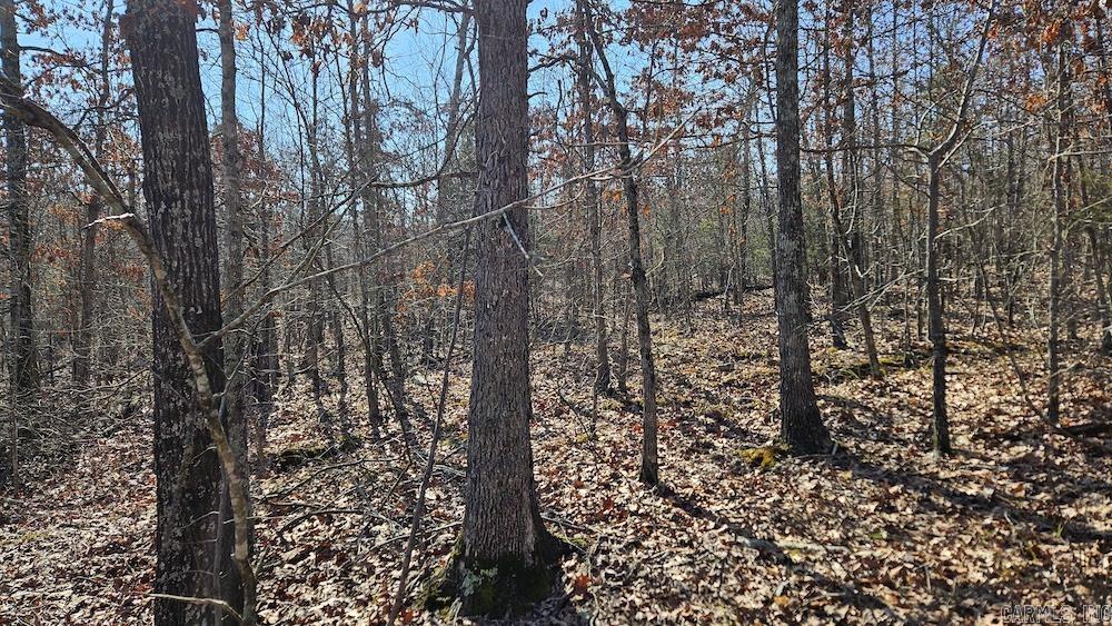 Tract A Rocky Road Property Photo 13