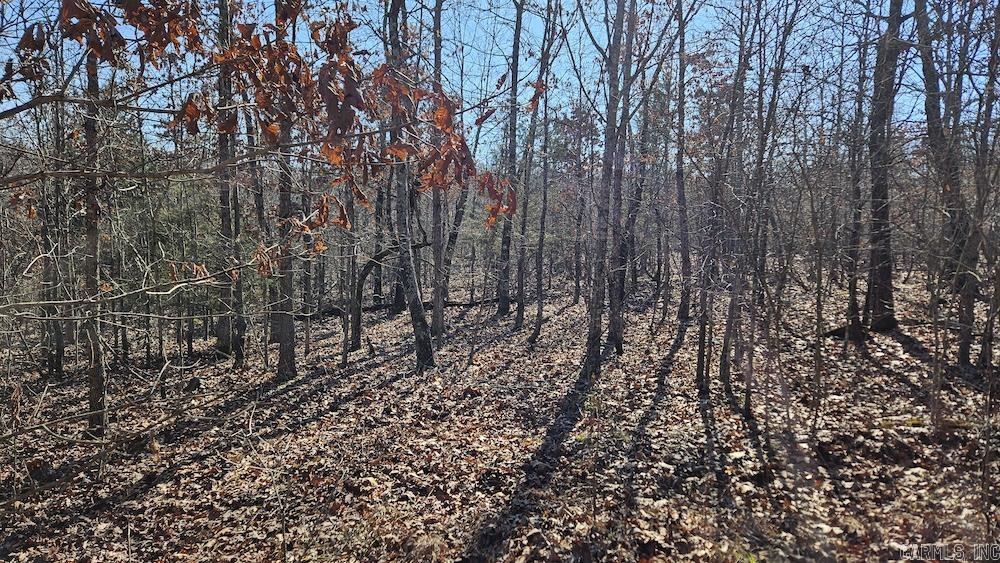 Tract A Rocky Road Property Photo 14