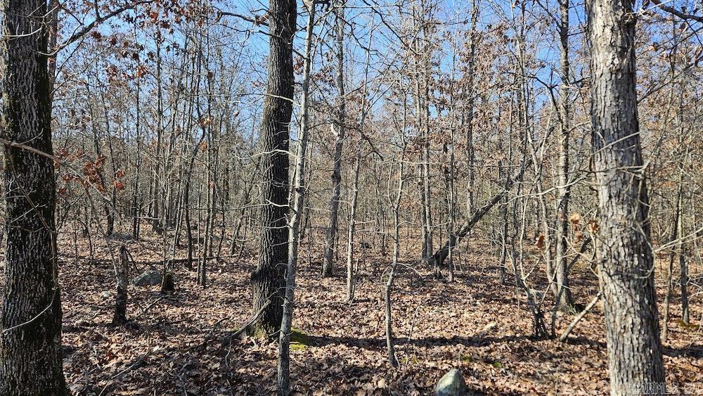 Tract A Rocky Road Property Photo 15