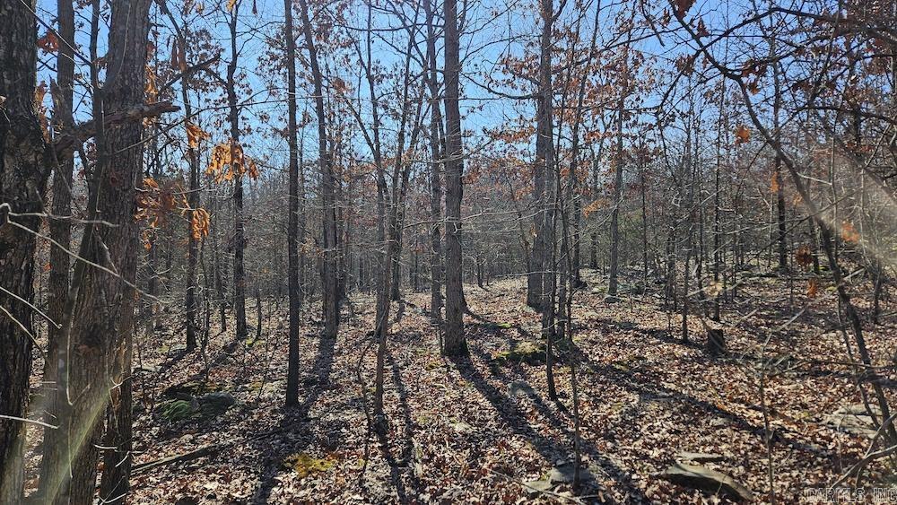 Tract A Rocky Road Property Photo 16