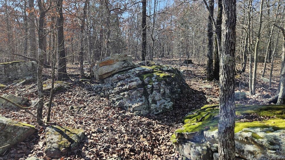Tract A Rocky Road Property Photo 17