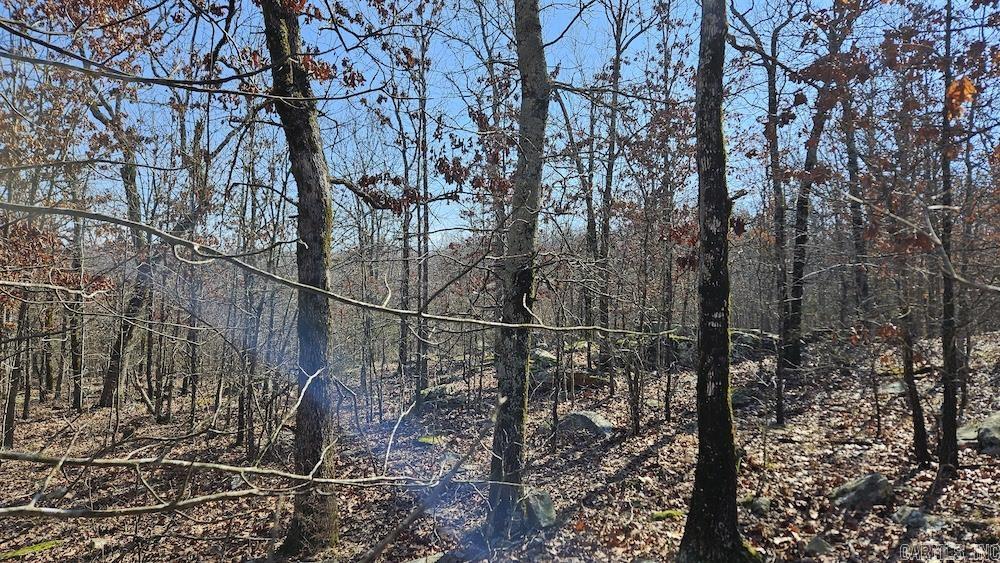 Tract A Rocky Road Property Photo 18