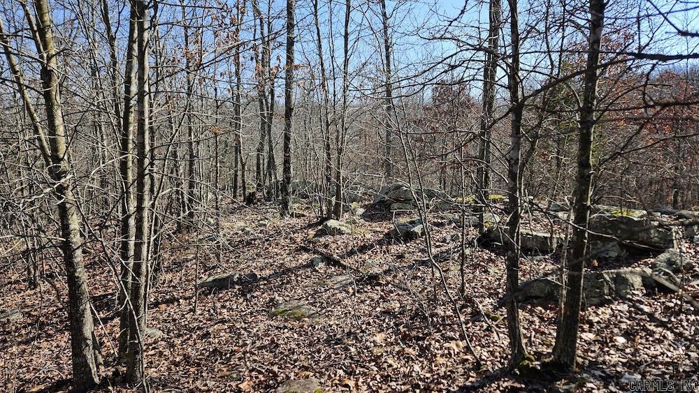 Tract A Rocky Road Property Photo 19
