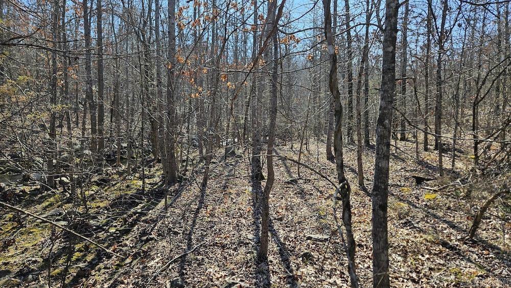 Tract A Rocky Road Property Photo 20