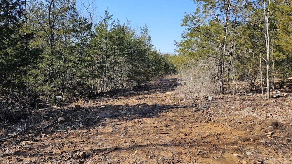 Tract A Rocky Road Property Photo 22