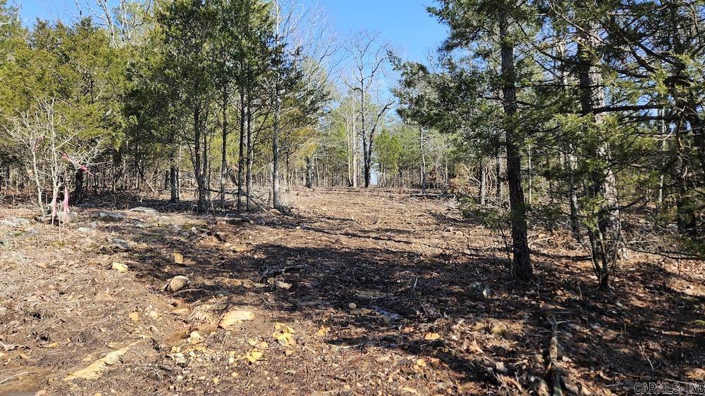 Tract A Rocky Road Property Photo 23