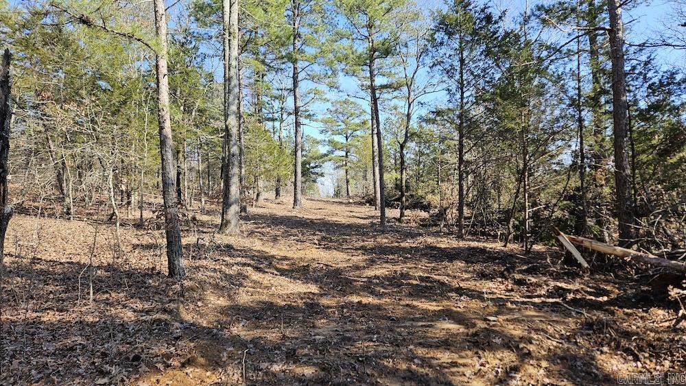 Tract A Rocky Road Property Photo 24