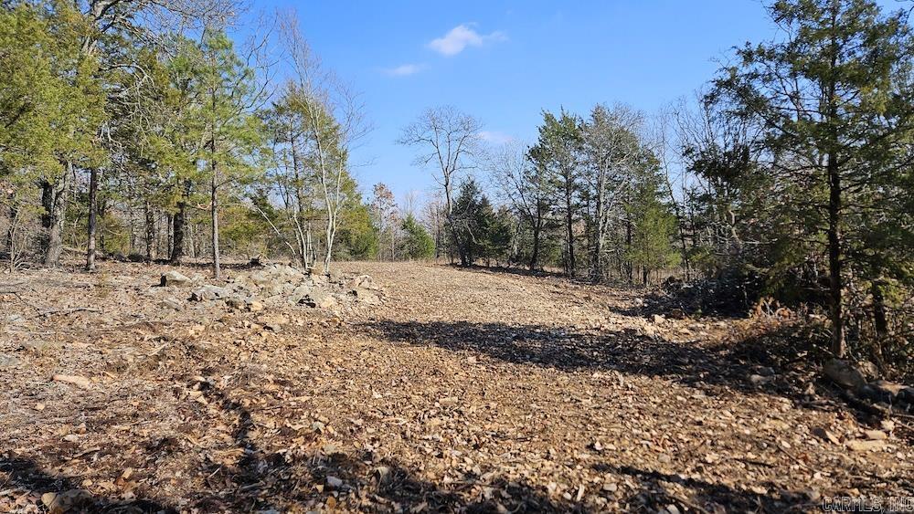 Tract A Rocky Road Property Photo 25