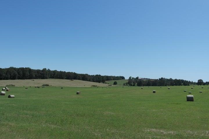 000 Highway 142 Property Photo 11
