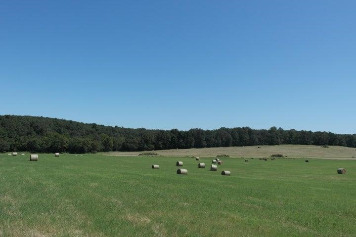 000 Highway 142 Property Photo 12
