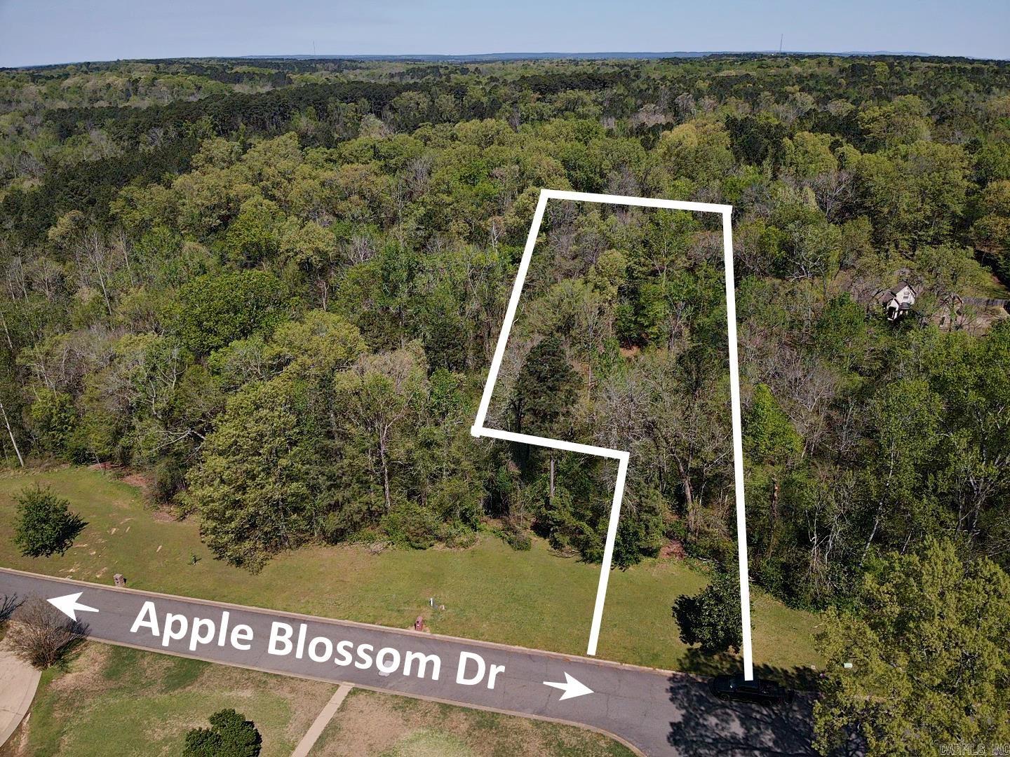 Lot 59 Apple Blossom Drive Property Photo 1