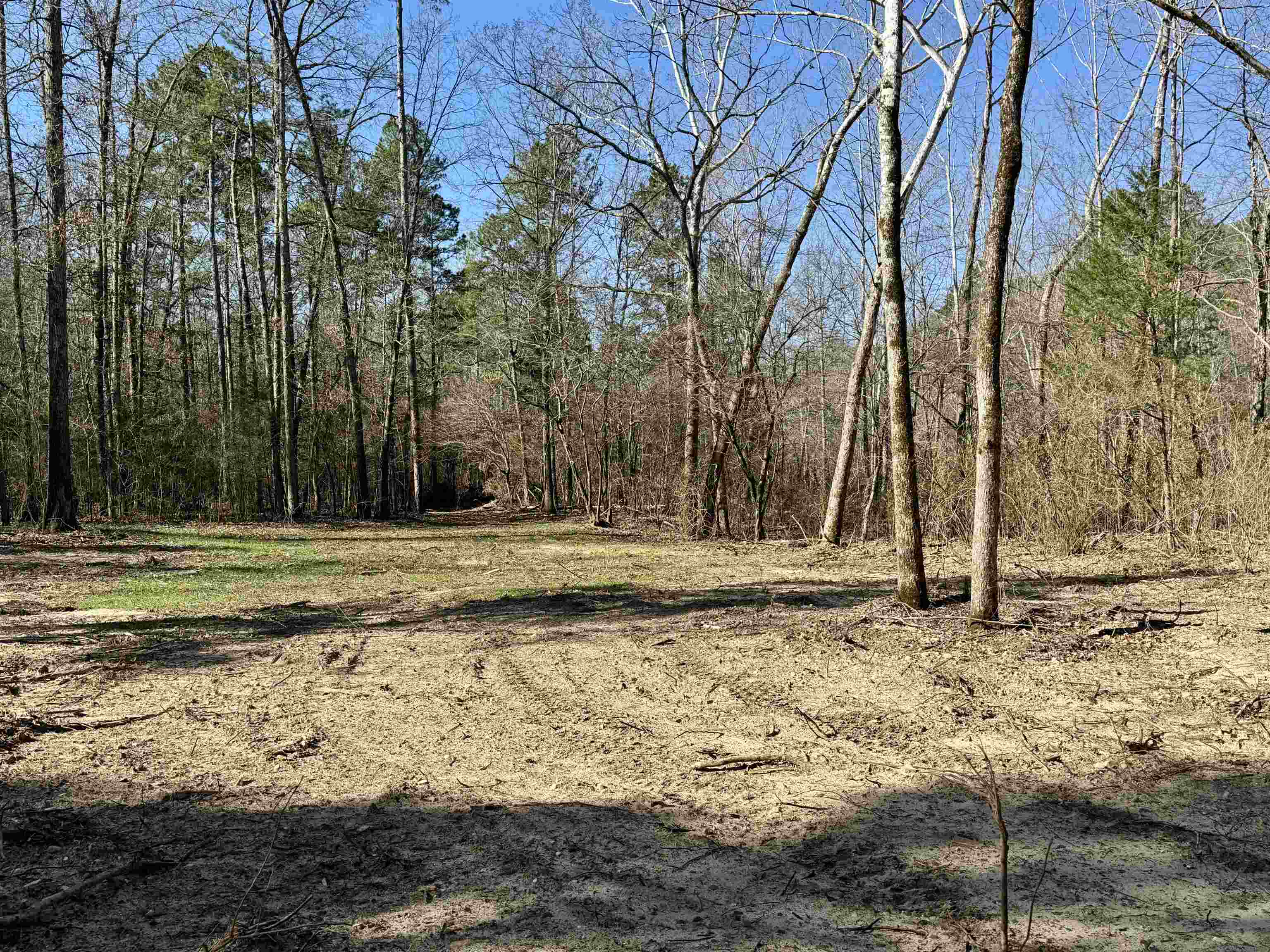 3 Rose Trail Property Photo 2