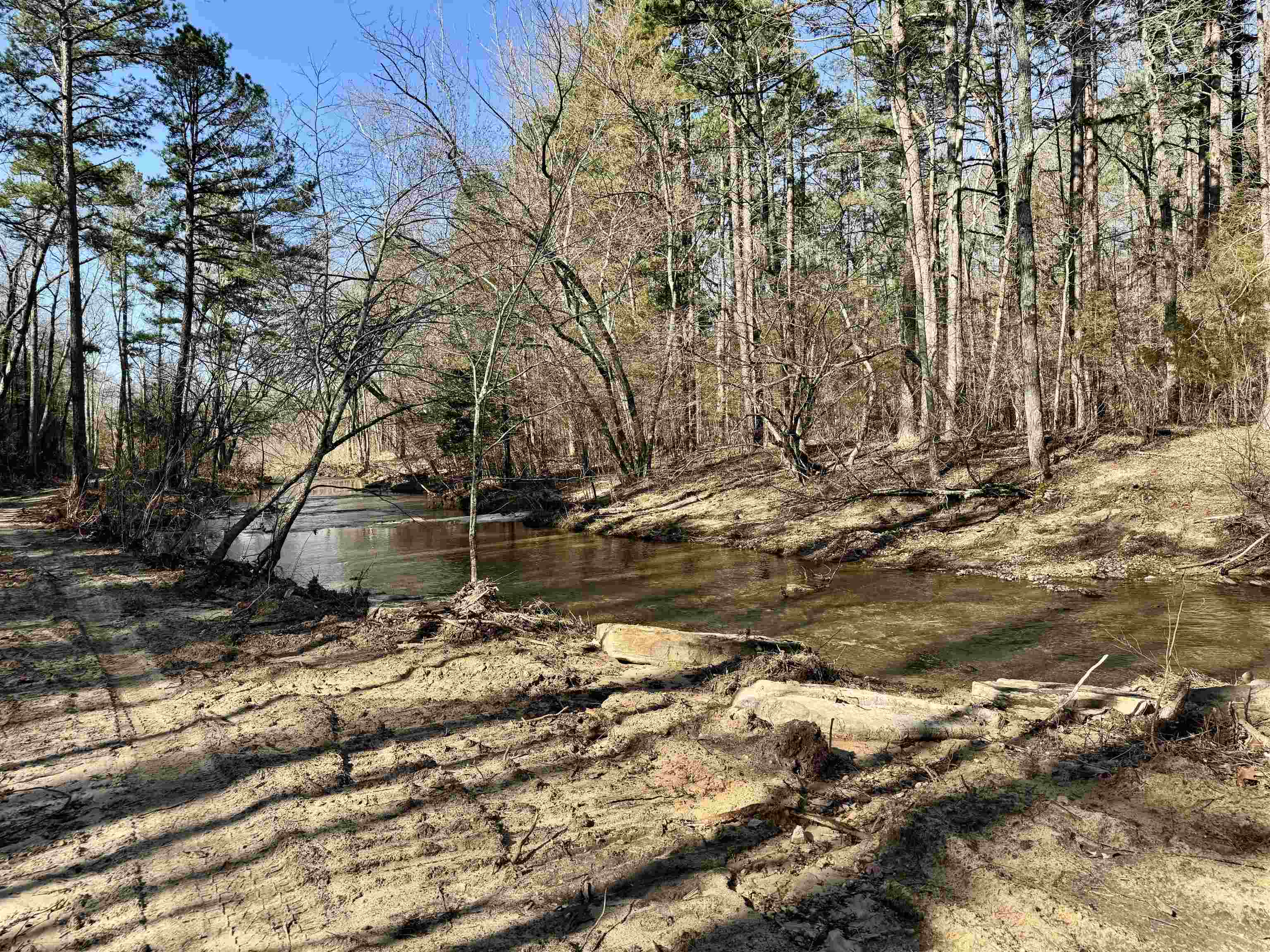 3 Rose Trail Property Photo 3