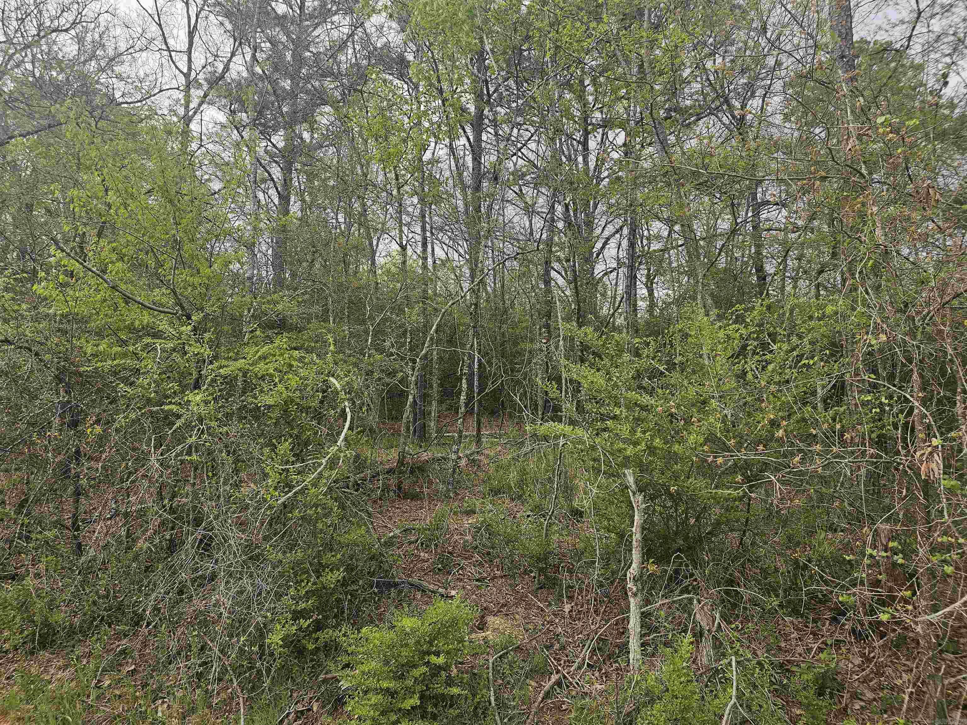 Xxx Geronimo Street Property Photo 3