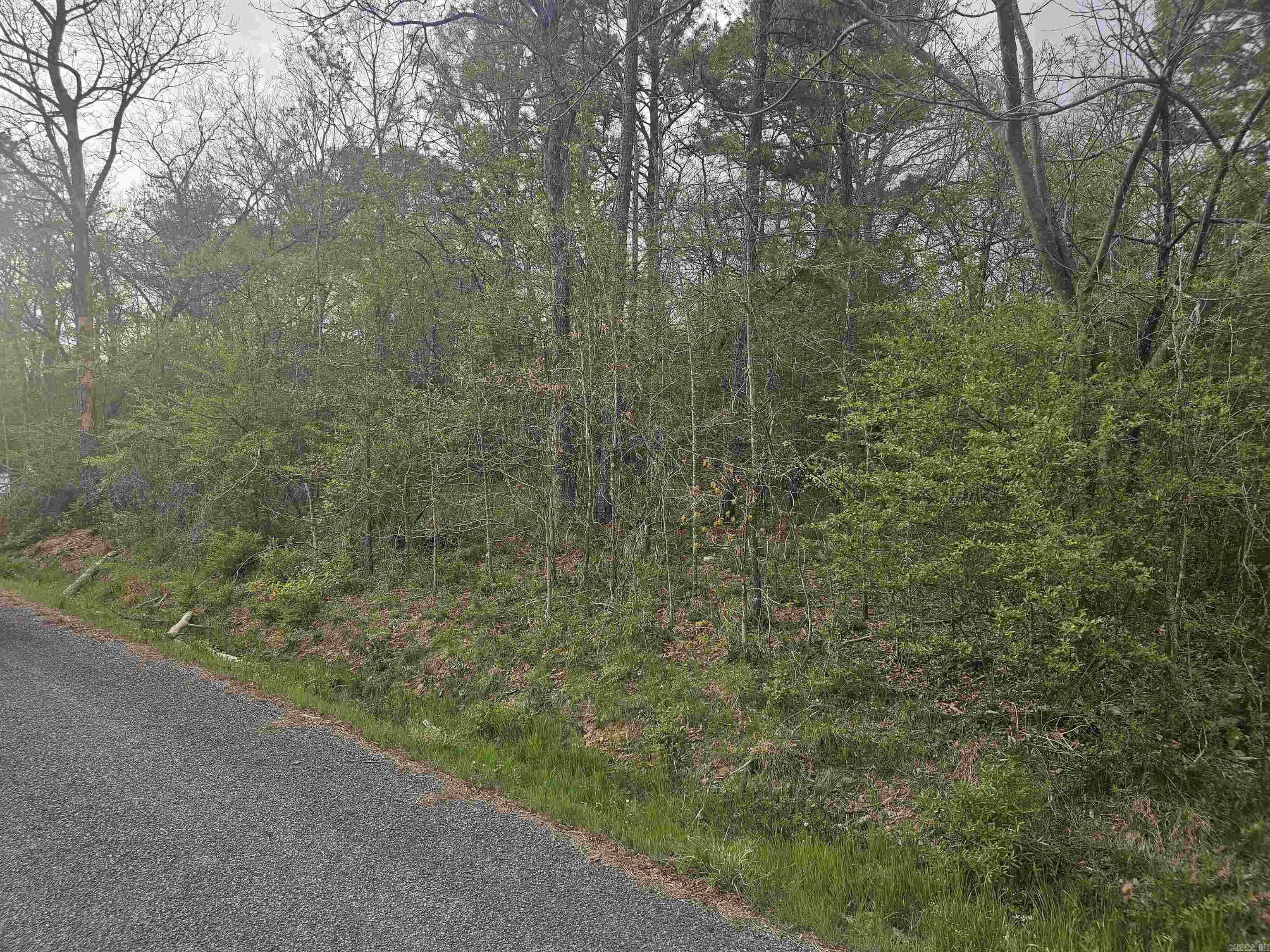 Xxx Geronimo Street Property Photo 4