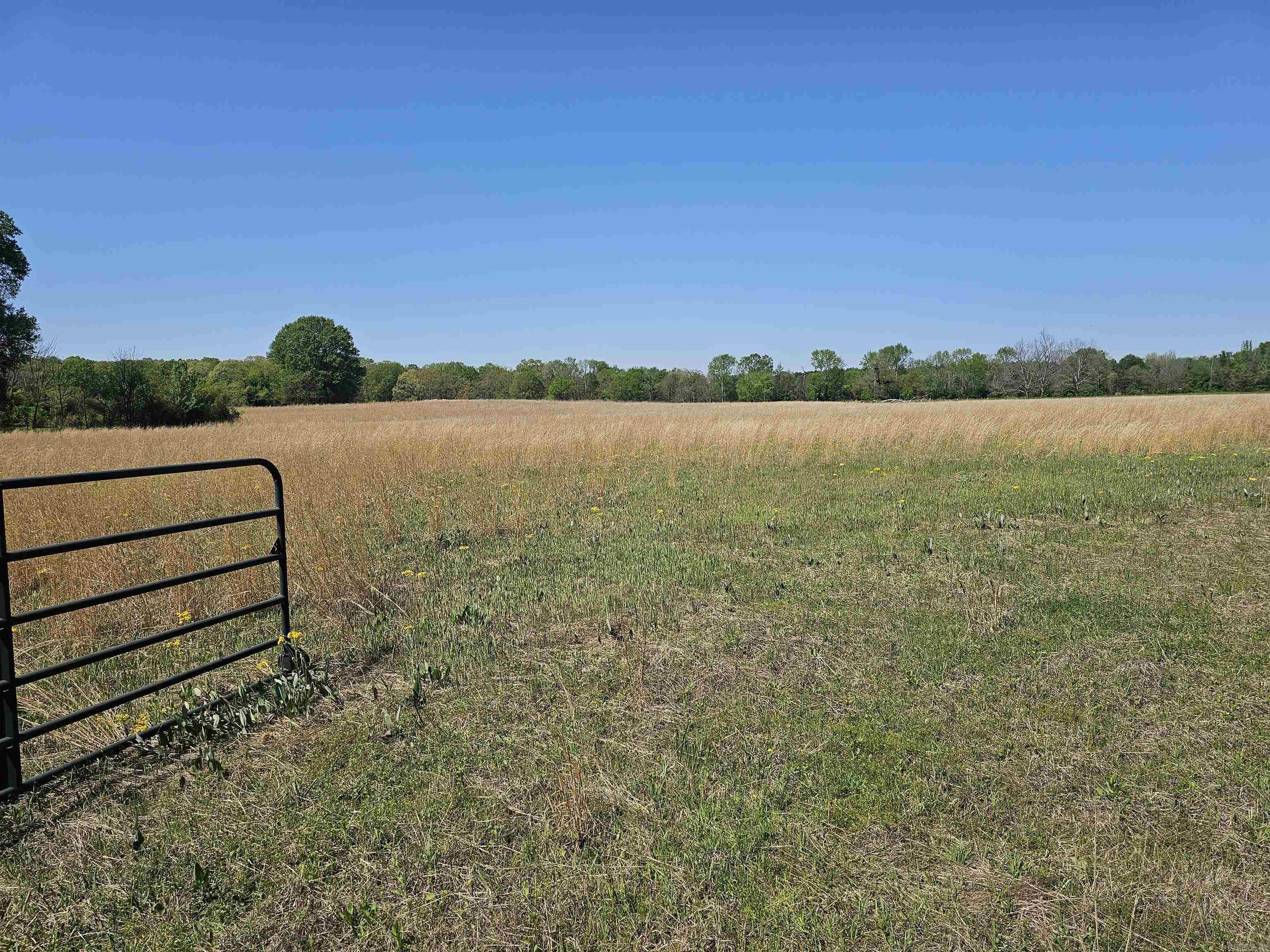 11.59 Acres Frances Street Property Photo 1
