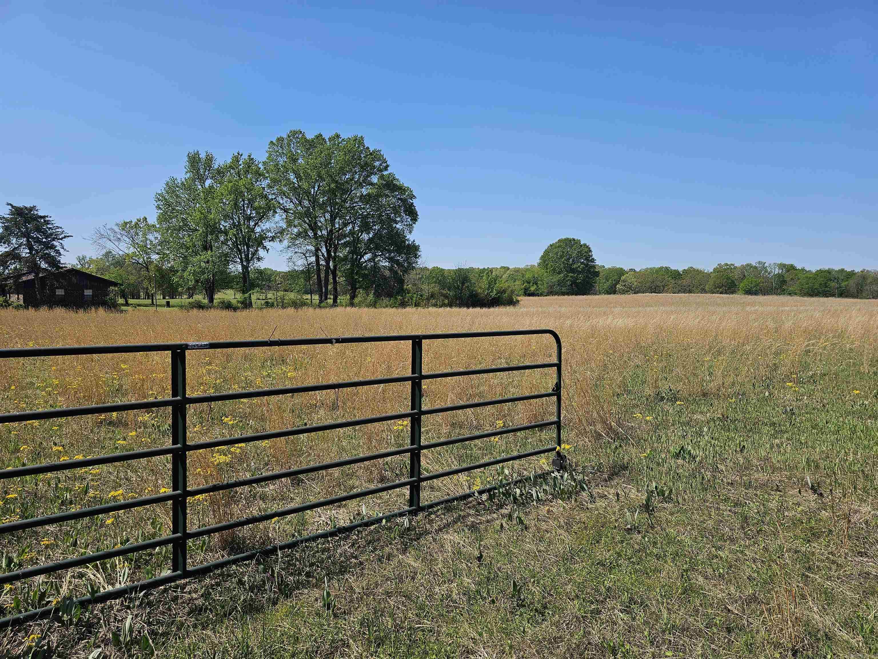 11.59 Acres Frances Street Property Photo 2