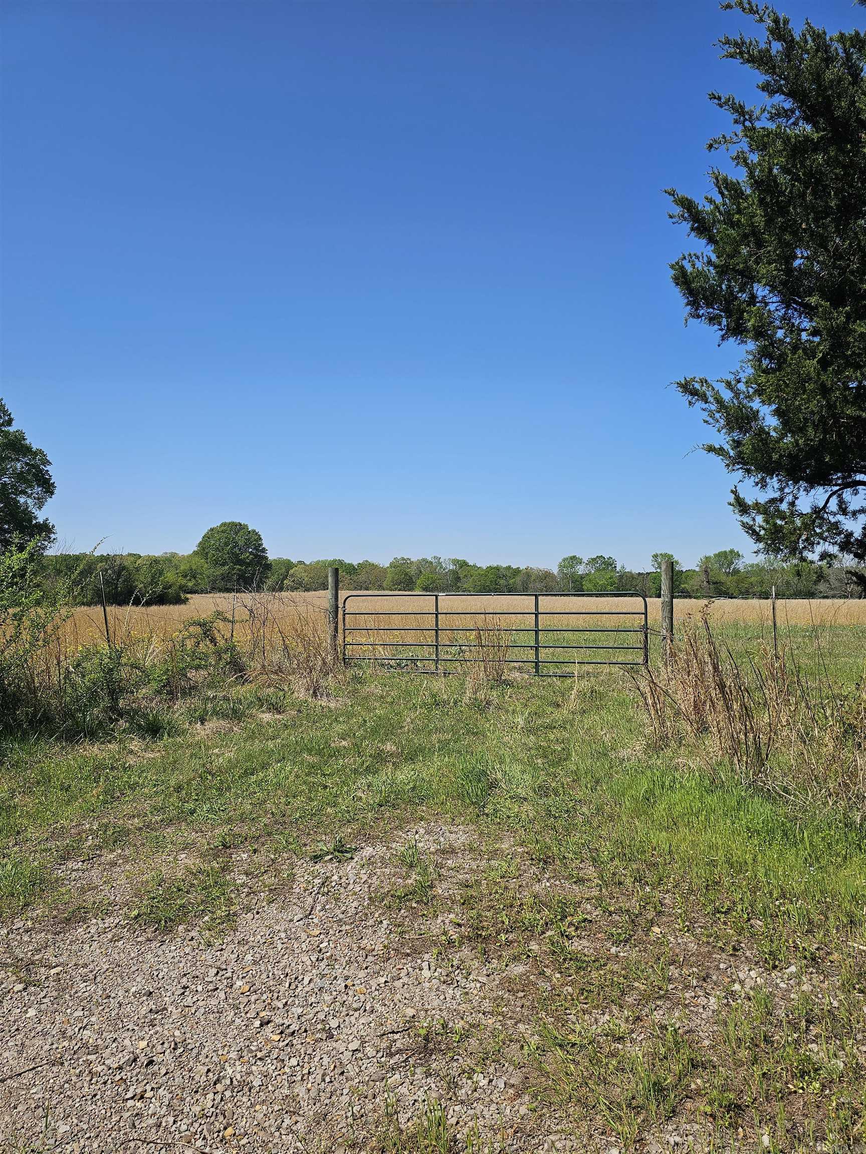 11.59 Acres Frances Street Property Photo 4