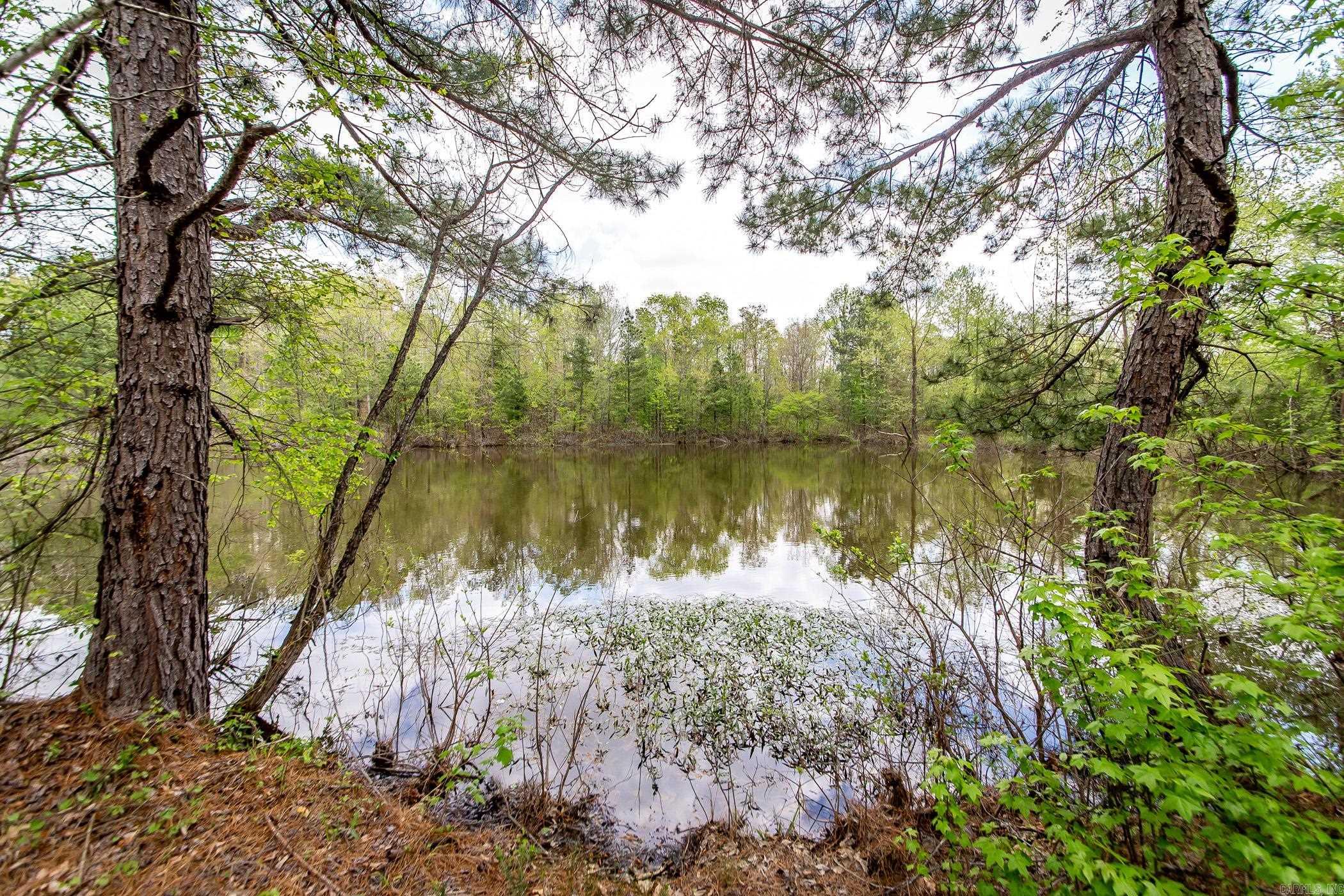 Tbd Copperhead Road Property Photo 1