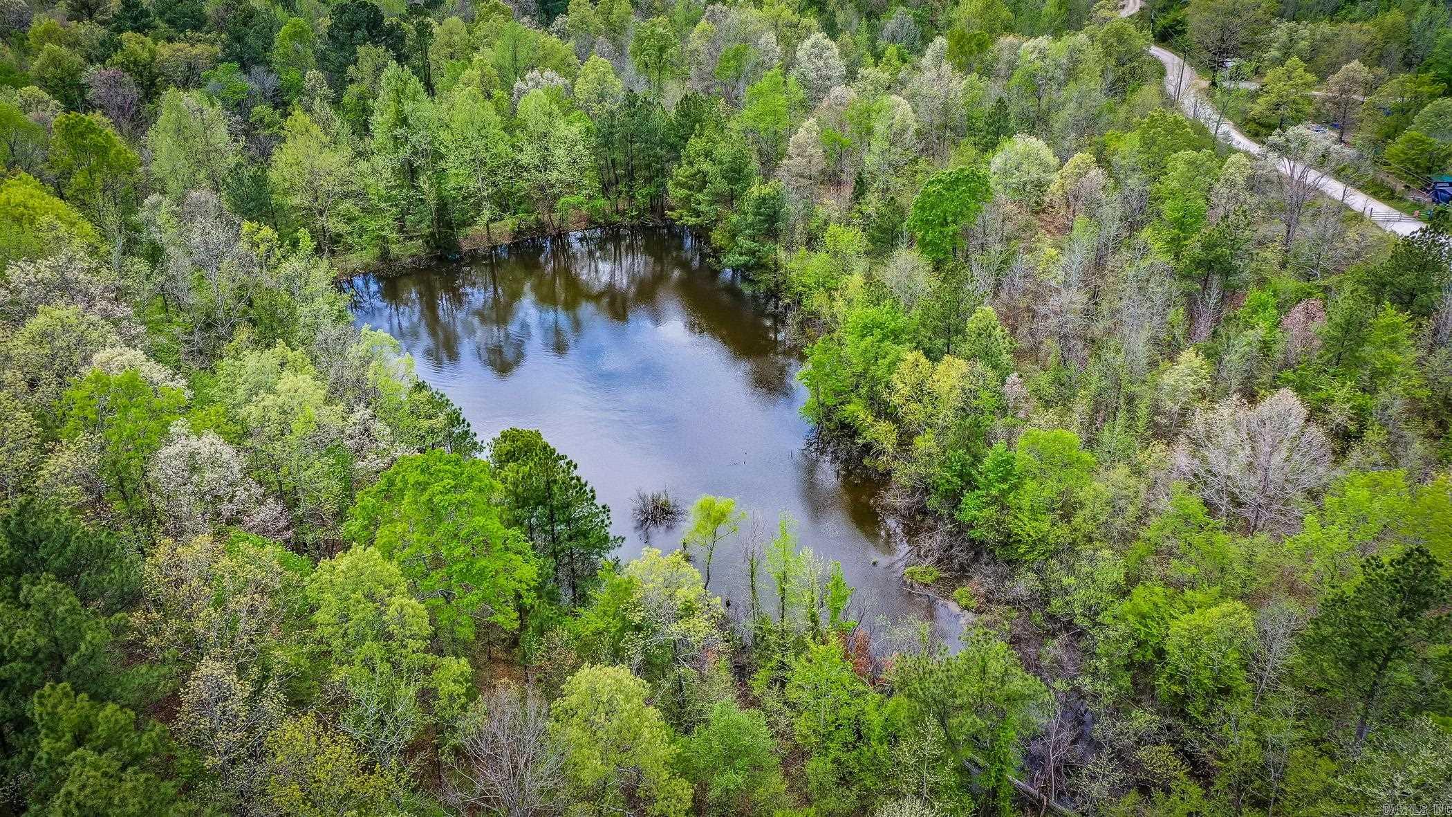 Tbd Copperhead Road Property Photo 22