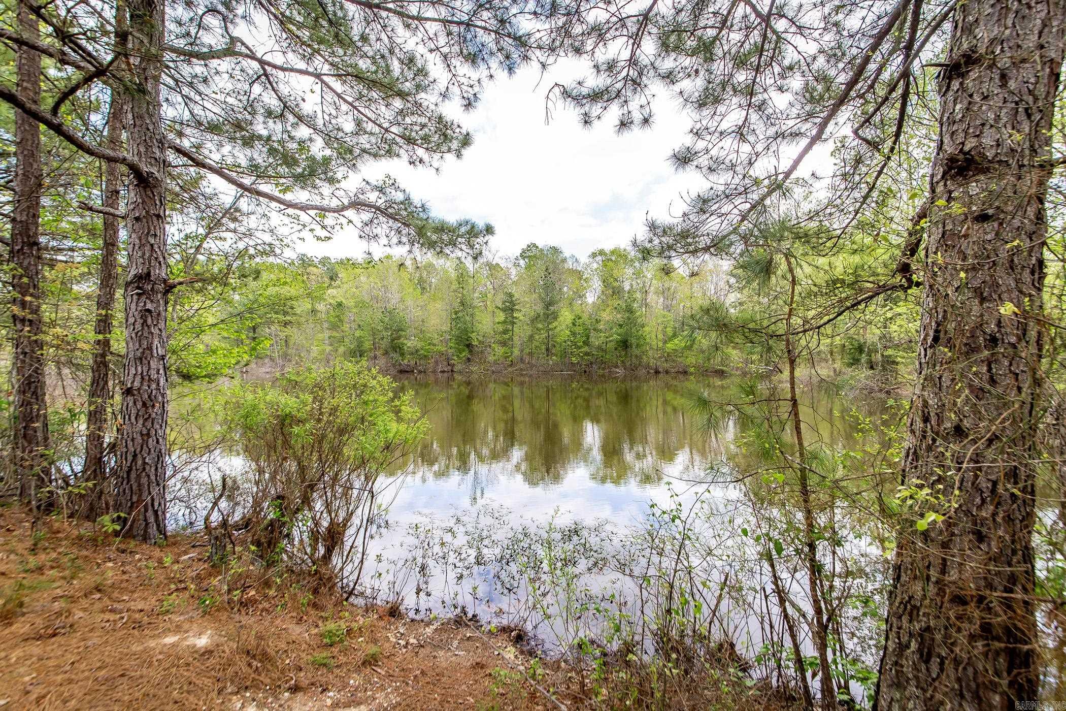 Tbd Copperhead Road Property Photo 26