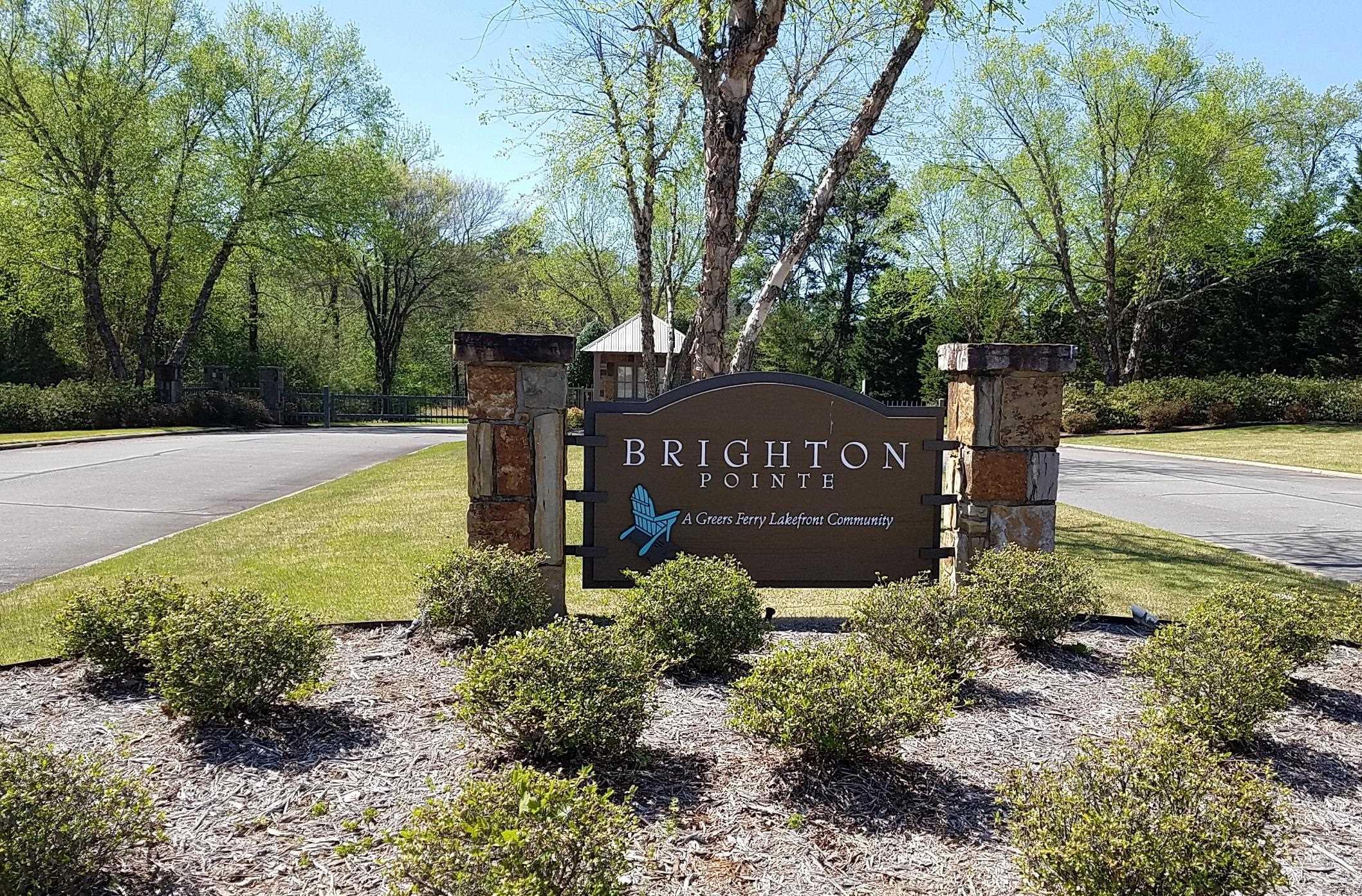 Lot 51 Brighton Pointe Property Photo 2