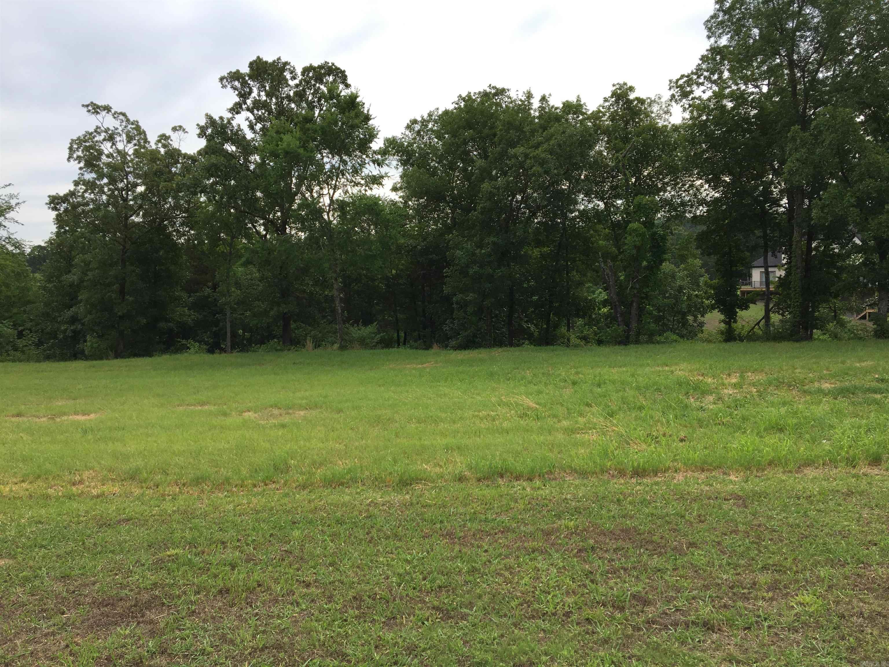 Lot 51 Brighton Pointe Property Photo 7
