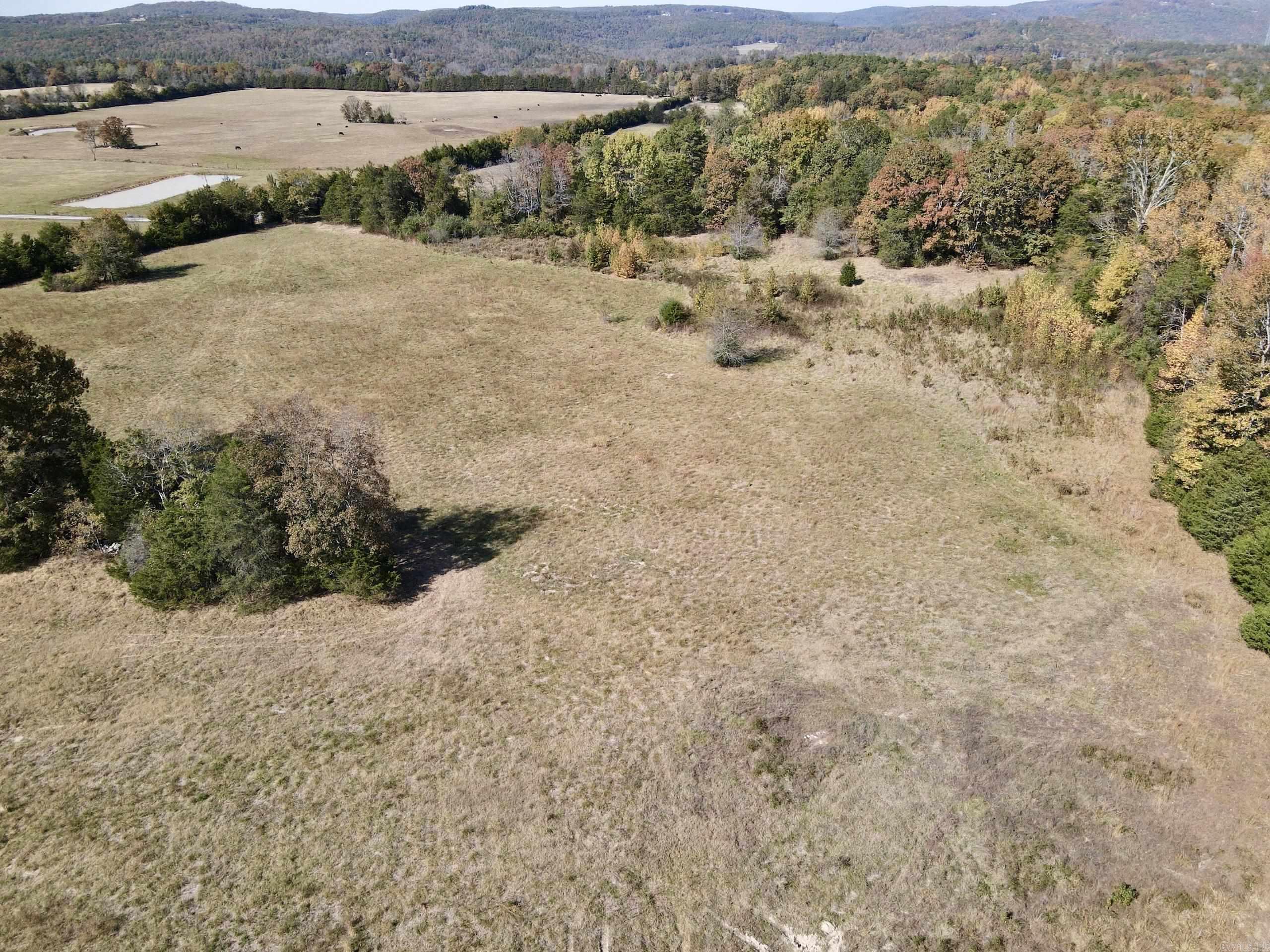 001 Overton Road Road Property Photo 8
