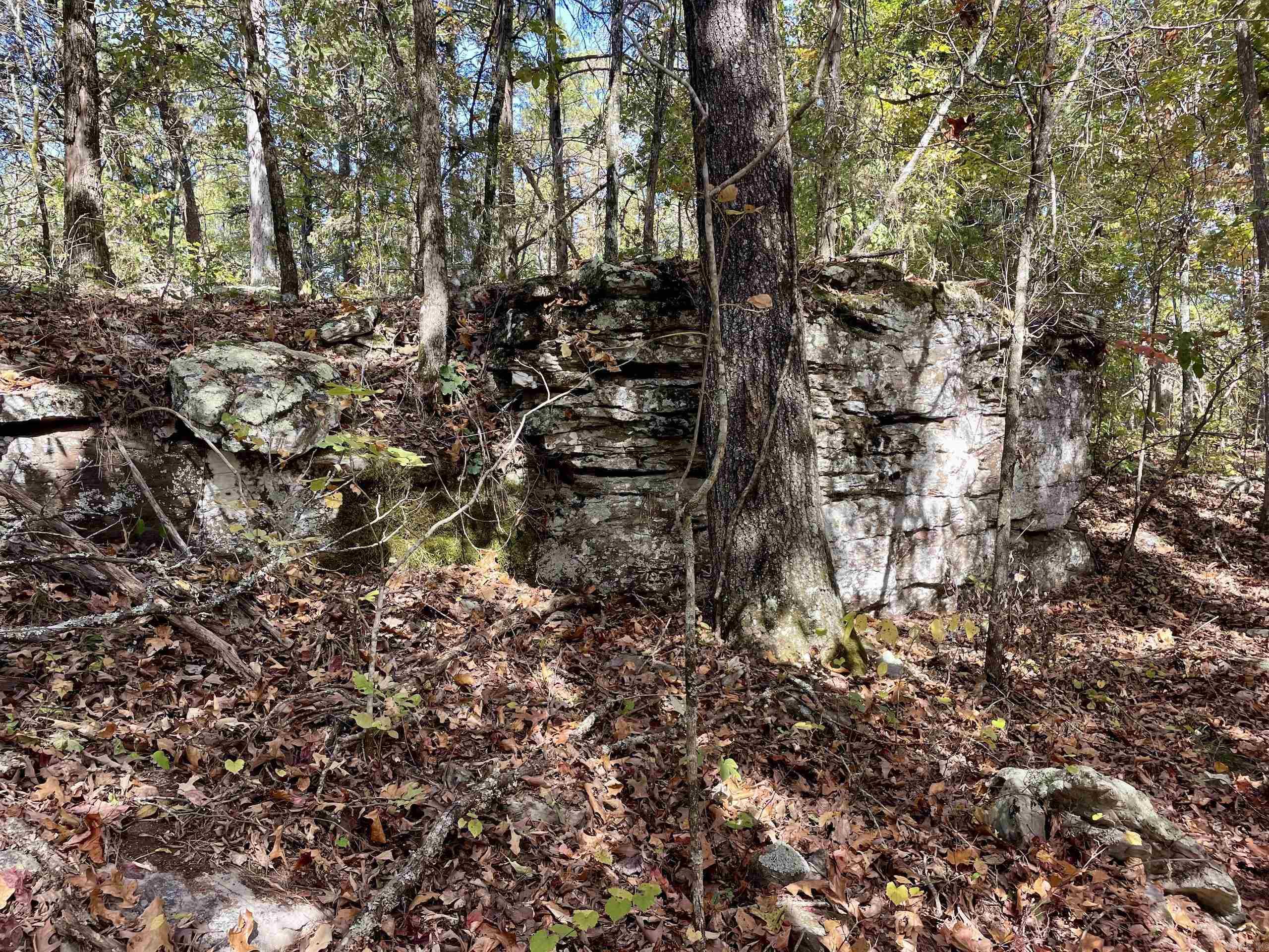 001 Overton Road Road Property Photo 17