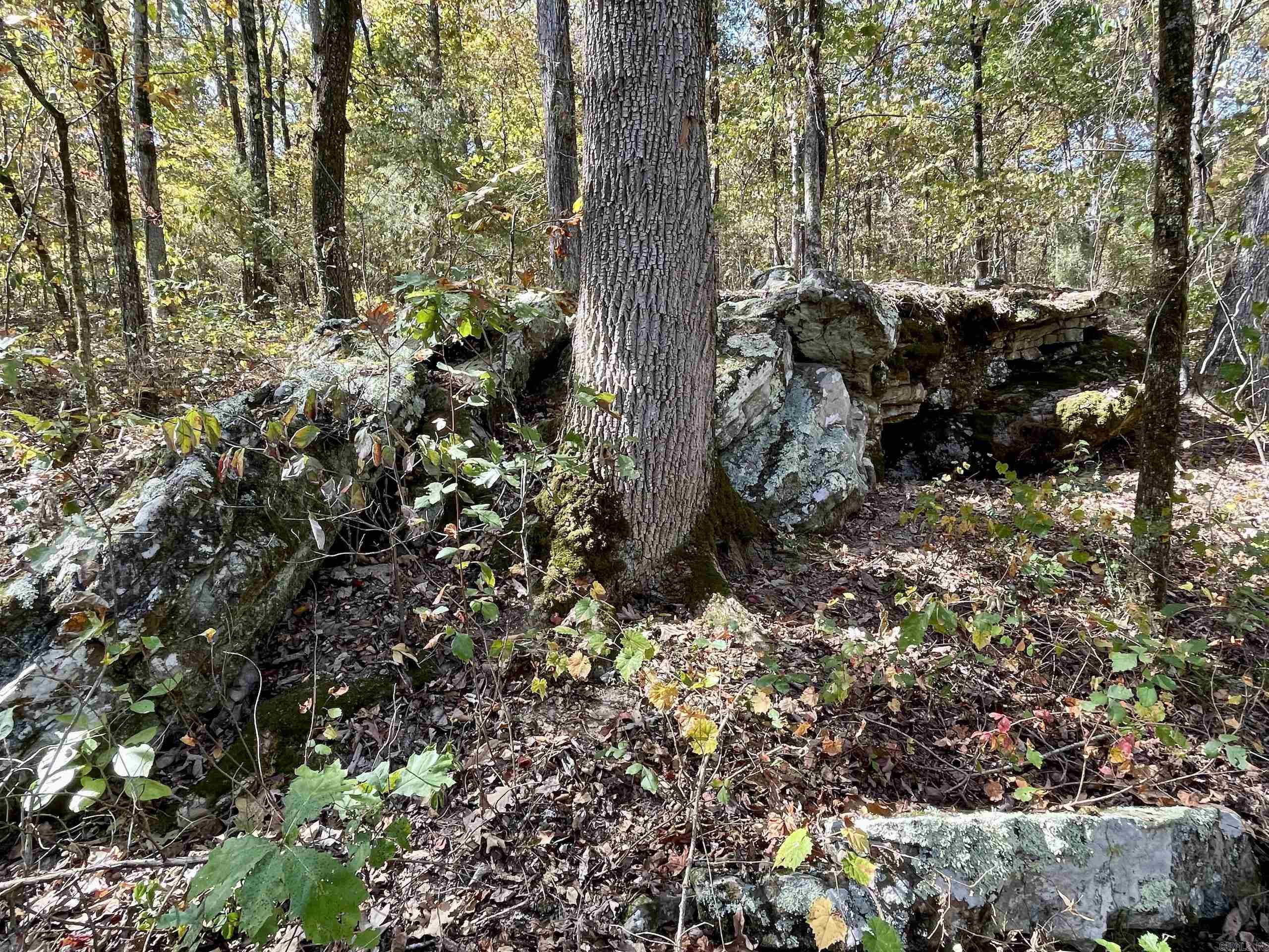 001 Overton Road Road Property Photo 20