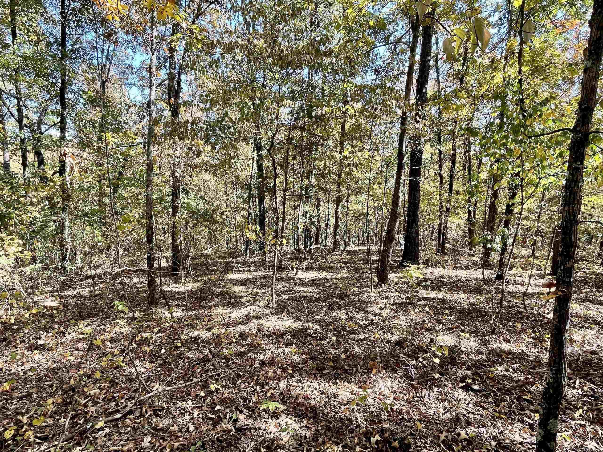 001 Overton Road Road Property Photo 22