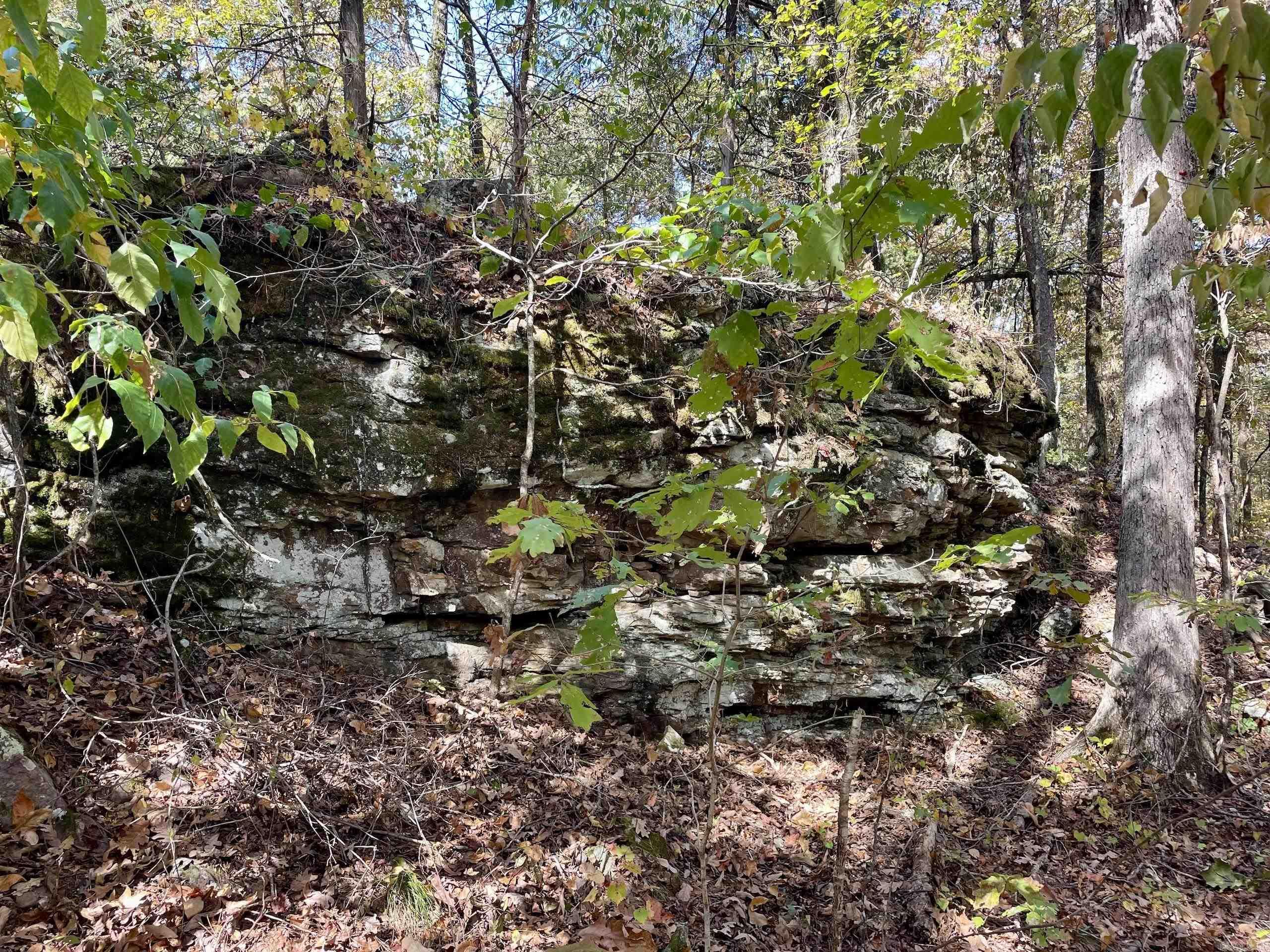 001 Overton Road Road Property Photo 25