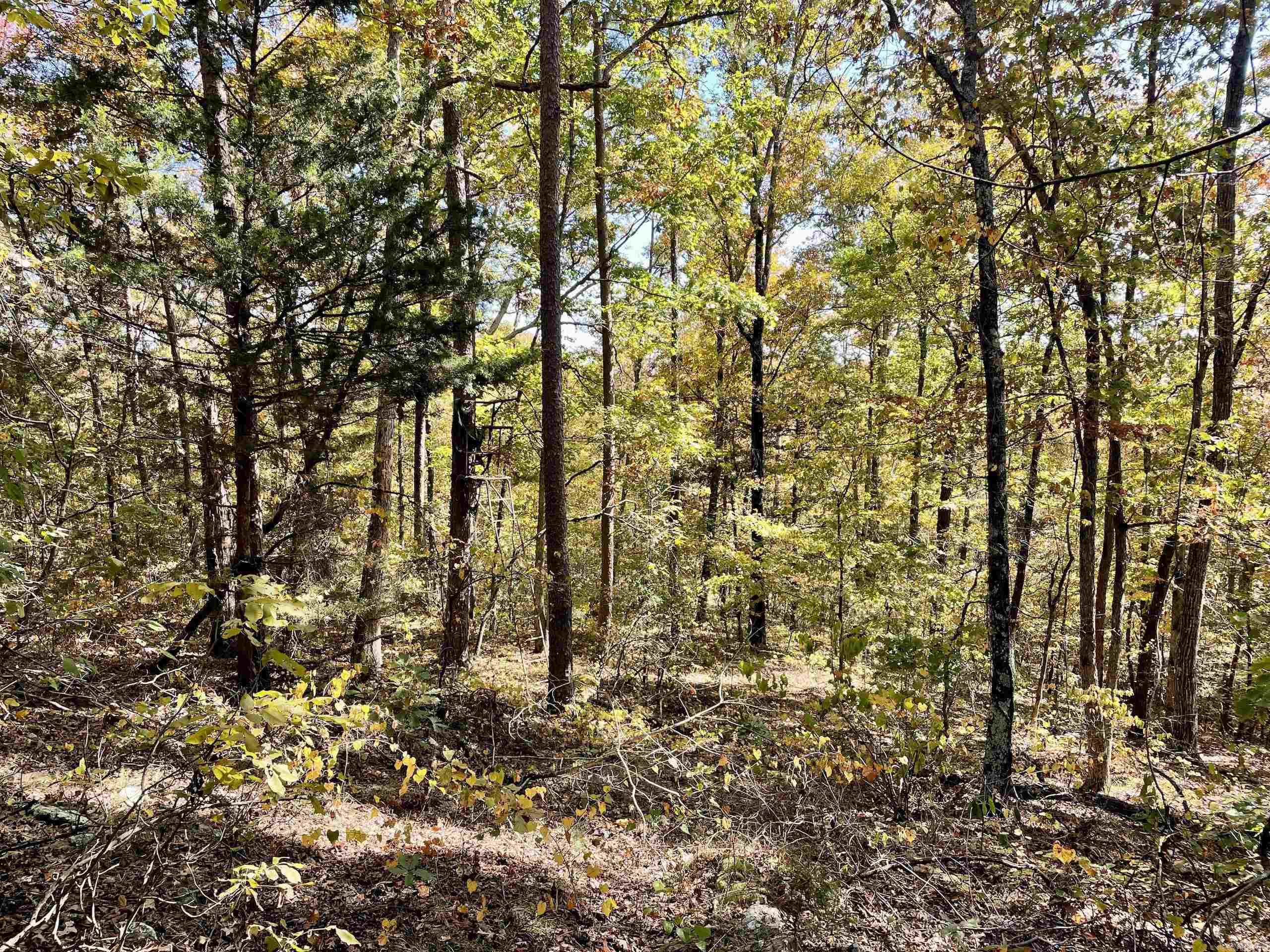 001 Overton Road Road Property Photo 30