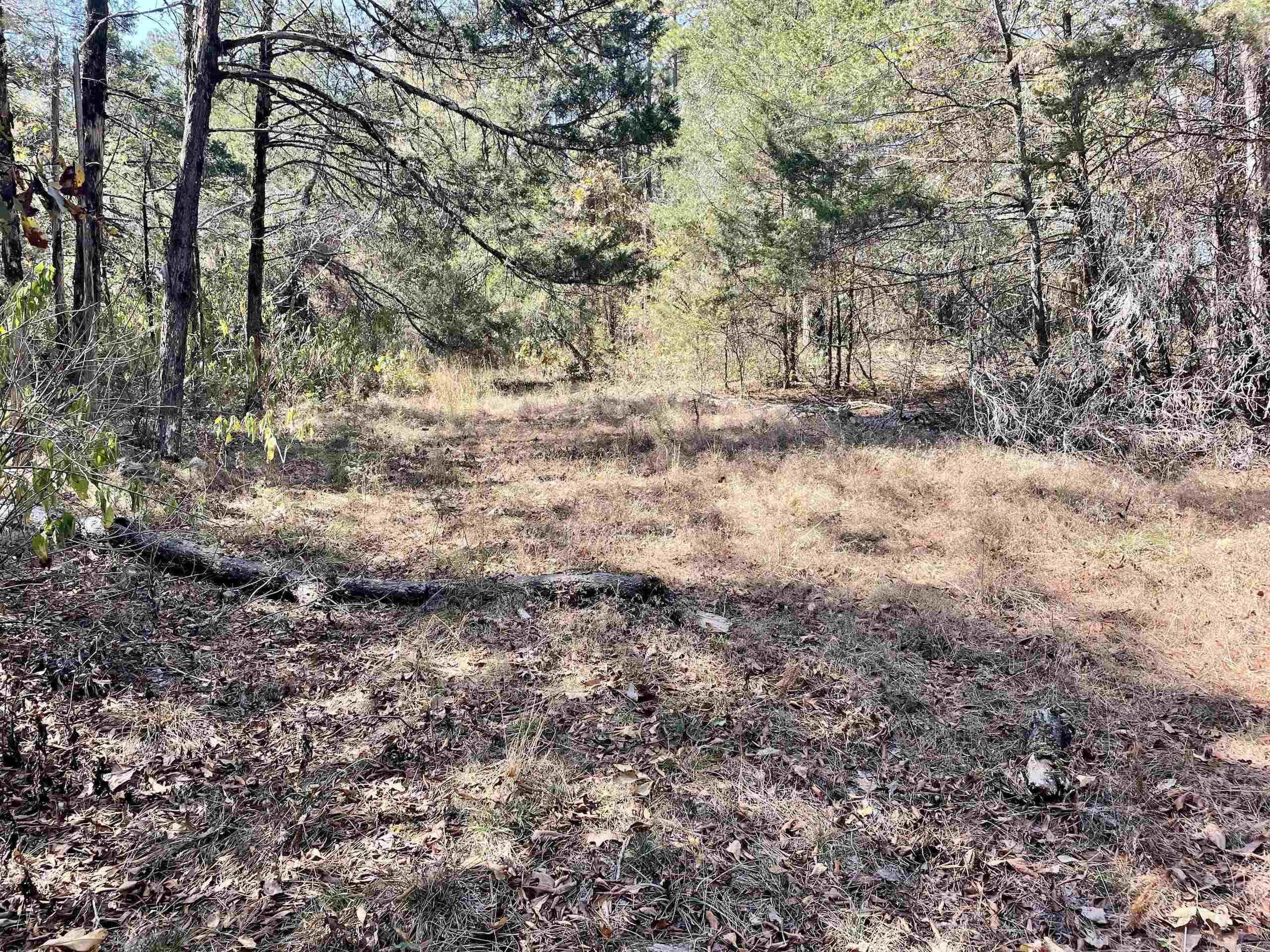001 Overton Road Road Property Photo 31