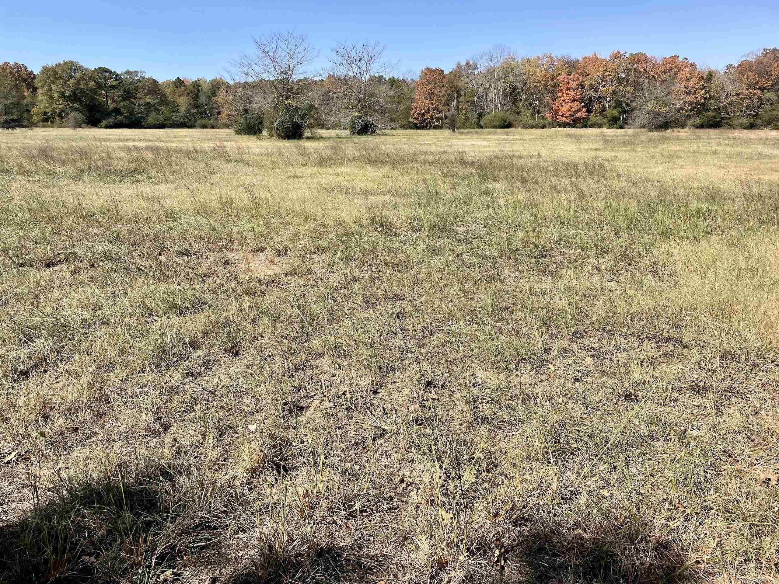 001 Overton Road Road Property Photo 32